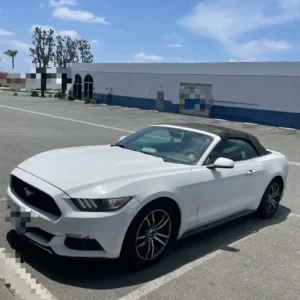 Ford 福特 Mustang 非營業用車｜桃園市嚴選優質二手車銷售｜100%實車實價在庫經典傳奇性能車款