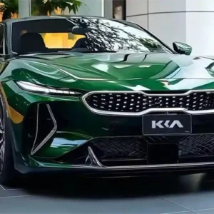 Kia 起亞 Stinger 無泡水｜高雄市認證二手車推薦｜國際第三方認證合格優質車況