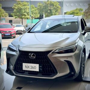 Lexus 凌志 NX 無泡水｜台中市全額貸低月付二手車方案｜里程保證實價安心選