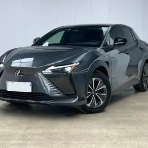 Lexus 凌志 RZ 無車身號碼 / 引擎號碼變造｜台中市高階數位座艙配備中古車｜行家首選認證中古車 電動豪華典範