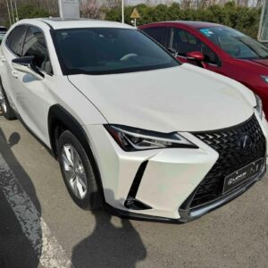 Lexus 凌志 UX 無車身號碼 / 引擎號碼變造｜台中市社會新鮮人低門檻代步車｜原廠完整保養紀錄透明可靠
