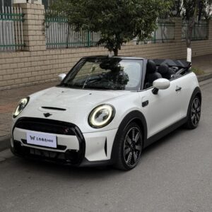 Mini Cooper 迷你 Moke 具第三方認證 SAVE｜台南市豪華進口車專人代尋服務｜透明實價不胡亂加價 省心買車享安心